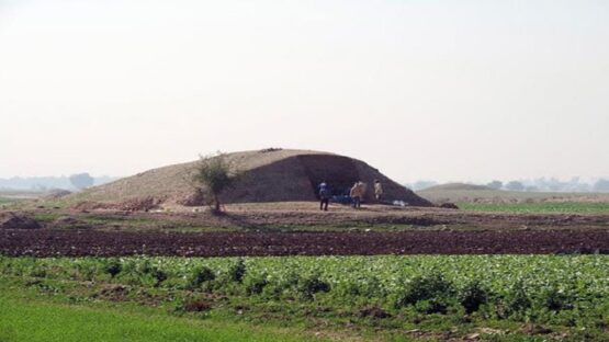 تشکیل ۱۰ پرونده تخلف تجاوز به حریم محوطه باستانی جندی شاپور دزفول