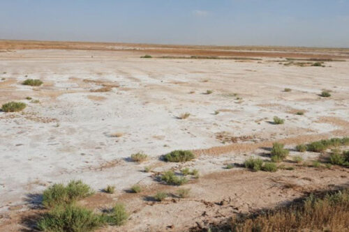 دزآرمان