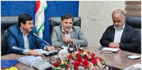 تفاهم اولیه بنیاد شهید و دانشگاه علوم پزشکی برای فعال کردن بیمه تکمیلی دی