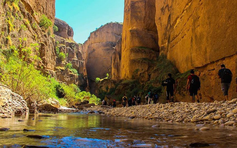 دزآرمان